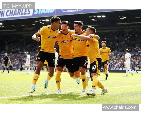 狼队与切尔西欧赔分析揭示比赛胜负关键因素与投注建议