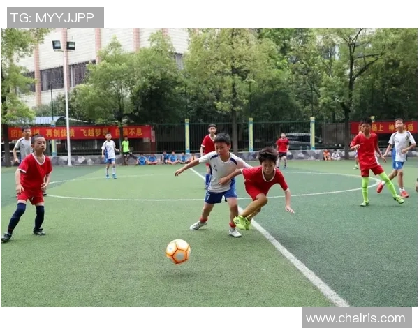 体彩足球比赛最新消息直播全方位解析精彩赛事动态与投注指南